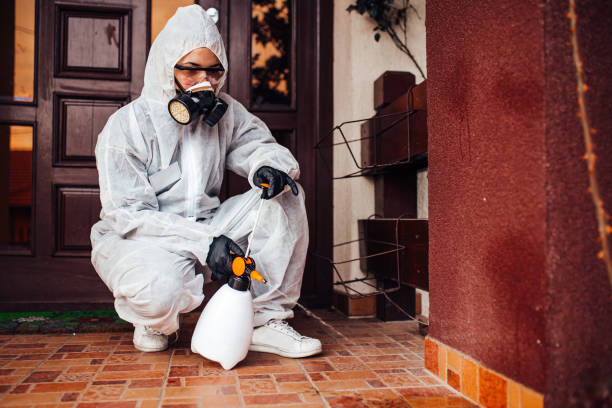 Reliable Bed Bug Control contractor in Siesta Acres, TX by Nex Pest Control