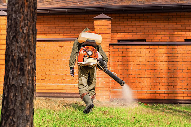 Trusted Termite Control service in Siesta Acres, TX - Nex Pest Control